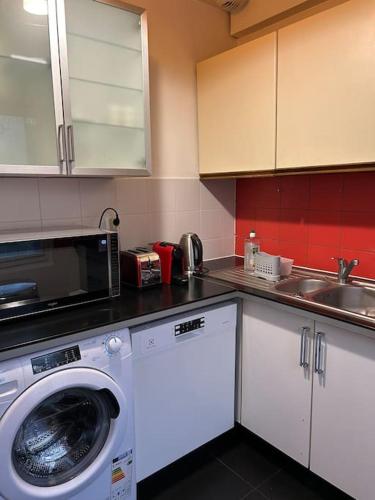 une cuisine avec une machine à laver et un évier dans l'établissement Maison conviviale, à Villejuif