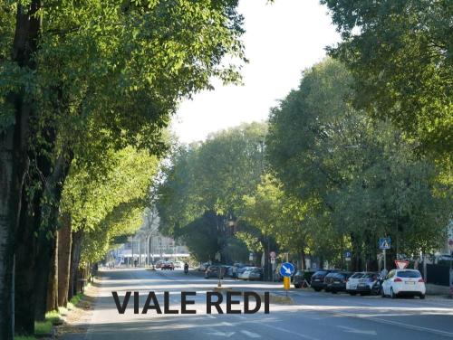 YOU REDI