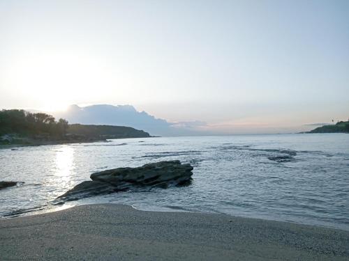 a beach with a rock in the water at Brand NEW VIP Luxury 5/5 Star Beachside Escape in Sydney
