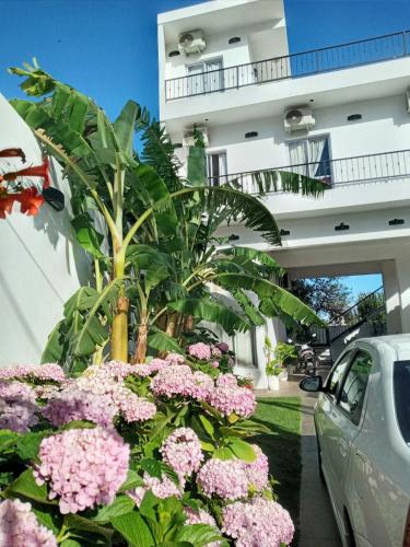 samochód zaparkowany przed budynkiem z różowymi kwiatami w obiekcie Posada Las Hortensias w mieście Chilecito