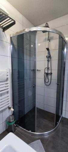 a shower with a glass door in a bathroom at Słoneczne Domki in Krościenko