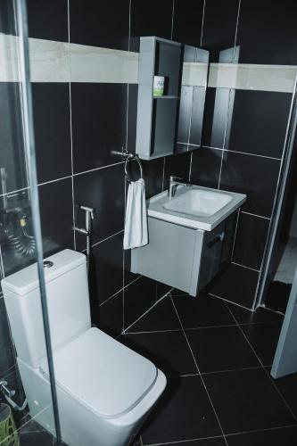 a bathroom with a toilet and a sink at Cozy Residence I, 1 bedroom Apartment Kyanja in Kampala