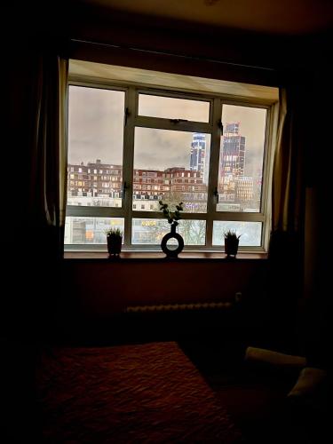 ロンドンにあるCentral London zone 1 cosy all inclusive roomの市街のスカイラインを望む窓