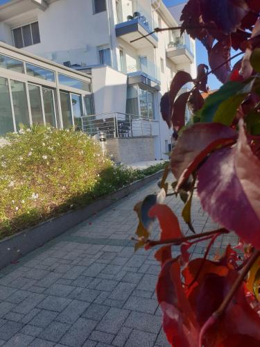 Κήπος έξω από το Adrion Aparthotel
