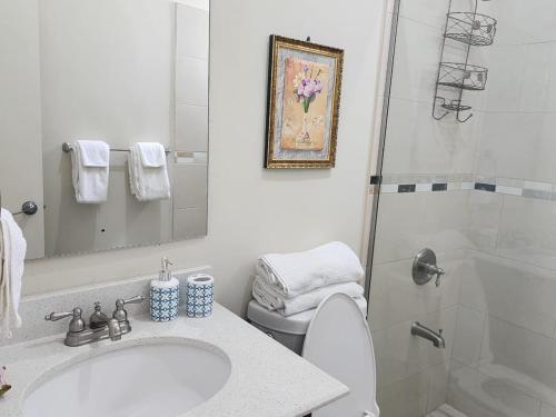 a bathroom with a toilet and a sink and a shower at Cozy one bedroom at perkins in Kingston
