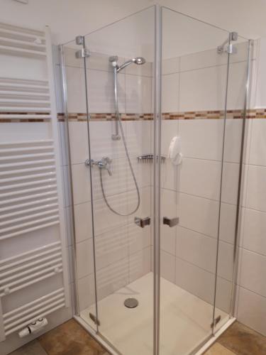kabina prysznicowa ze szklanymi drzwiami w łazience w obiekcie Gasthaus Brandlwirt w mieście Saalfelden am Steinernen Meer