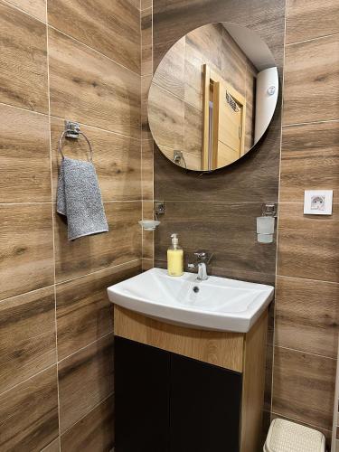 a bathroom with a sink and a mirror at Sofija Apartman Zlatibor in Zlatibor