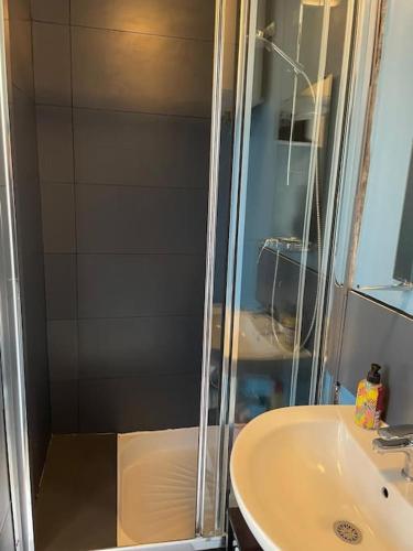 une salle de bain avec douche et lavabo dans l'établissement Studio Paris 14, à Paris
