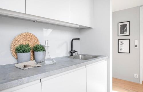 una cocina con fregadero y 2 macetas en Apartment in Greenland, Oslo, en Oslo