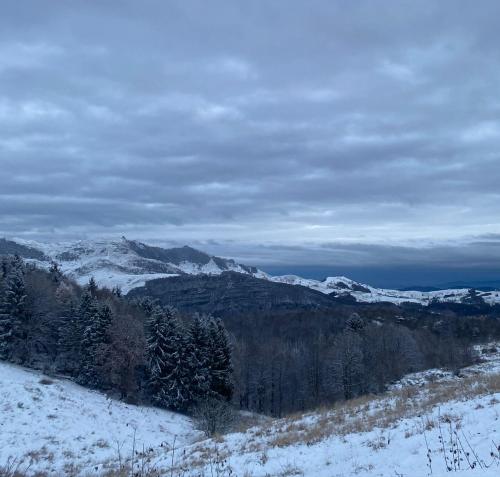 المناظر الطبيعية بالقرب من الشقة