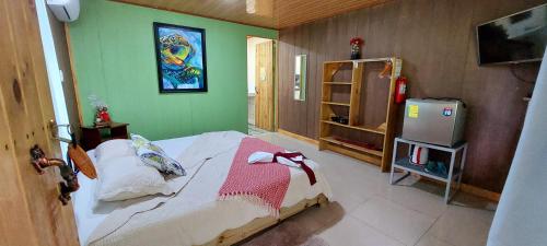 a bedroom with a bed and a green wall at Casa el Tortugo in Drake