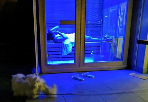 um cão está olhando pela janela para uma pessoa nadando em Apartmaji Koper - MARINA STYLE em Koper