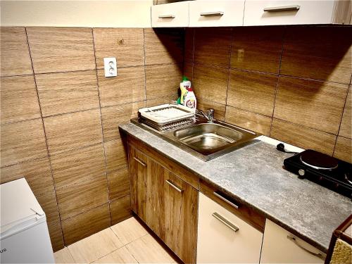 uma pequena cozinha com um lavatório e um balcão em ROOR Top Nest 3 em Gheorgheni