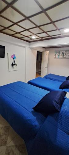 a bedroom with two beds with blue sheets and a picture at Encantadoras Habitaciones Privadas Del Valle in Mexico City