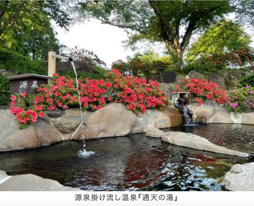 にあるコンテナハウス通天の花の咲く庭園の噴水池
