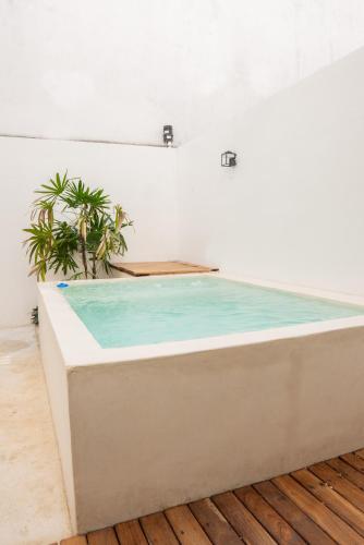 a bathtub with a plant in a room at Amplia casa con 3 habitaciones para hospedaje in Chetumal