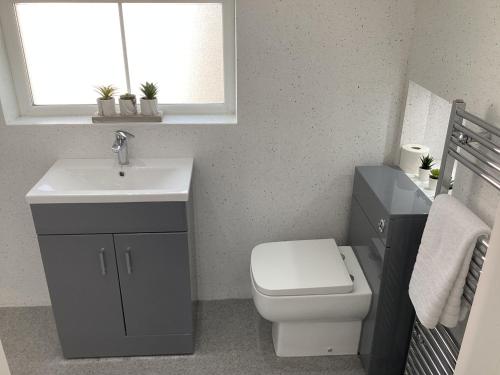 a bathroom with a toilet and a sink and a window at Ballinacross Lodge in Foyle Hill