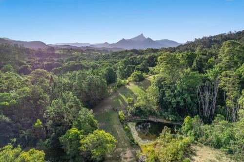 an aerial view of a forest with mountains in the background at La Rochér Eco Retreat in Stokers Siding