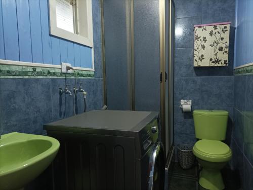 uma casa de banho com um WC verde e um lavatório em EL URCO CHILOE HOSTEL em Ancud