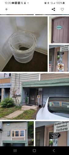 Φωτογραφία από το άλμπουμ του Rock Pad for Yale, Visitors, Nurses, Staff σε New Haven