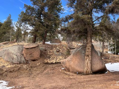 a group of rocks and a tree in a field at Red Door cabins in Florissant