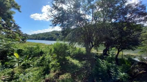 a view of a river from a field with trees at Mahaweli Shades in Kandy