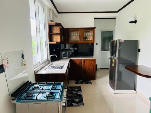 Una cocina o kitchenette en Lemazone Inn