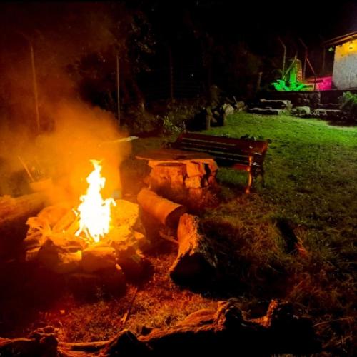 Ein Garten an der Unterkunft Leela Cottages