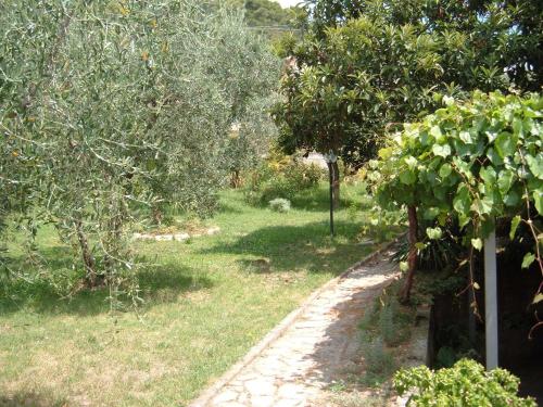 a garden with trees and a path in the grass at L'Uliveto in Montebuono