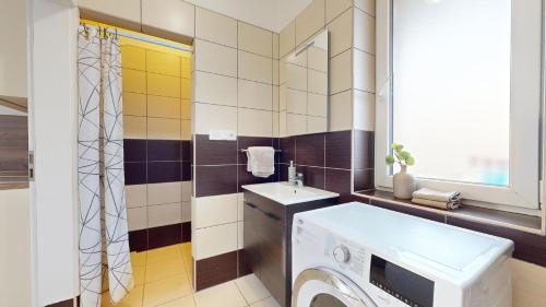 a bathroom with a washing machine and a sink at Apartmán Esser in Milovice