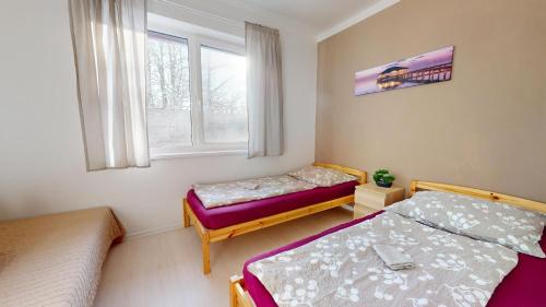 1 dormitorio con 2 camas y ventana en Apartmán Esser, en Milovice