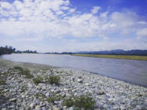 a body of water with a rocky shore with trees and clouds at Namdapha Jungle Camp Miao 