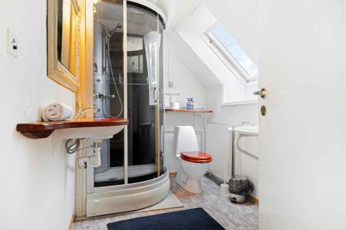 a bathroom with a shower and a sink and a toilet at Stately Apartment Incl, Consumption in Bogense