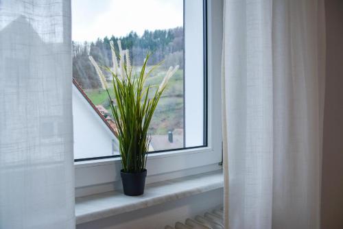 Imagen de la galería de Apartment Sonnenglück im Schwarzwald with Panoramaview, Terrace, 3 Bedrooms, en Bad Peterstal-Griesbach