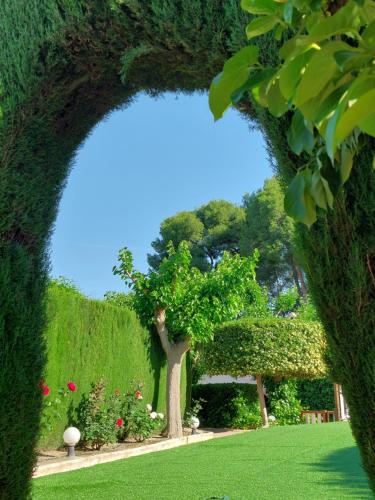 einen Torbogen in einem Garten mit einem Baum in der Unterkunft Casa de La Campana in Cieza