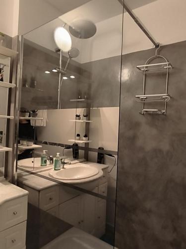 une salle de bain avec un lavabo et une douche dans l'établissement Grand appartement de charme calme et lumineux parking compris, à Aix-en-Provence
