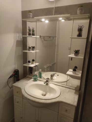 Grand appartement calme et lumineux avec parking proche centre ville