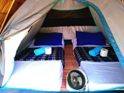 two beds in a tent with blue and white pillows at Bucana Kamp Payapa Beachfront in El Nido