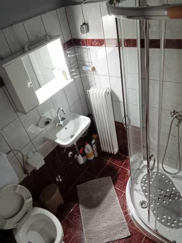 a bathroom with a shower and a toilet and a sink at Alexandra's Studio pyli in Pýli