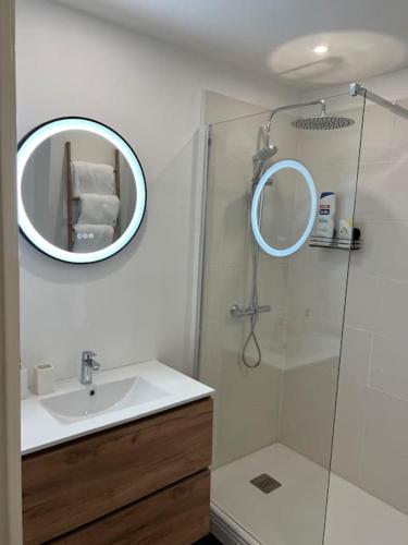 une salle de bain avec une douche, un lavabo et un miroir dans l'établissement Magnifique appartement lumineux, à Marseille