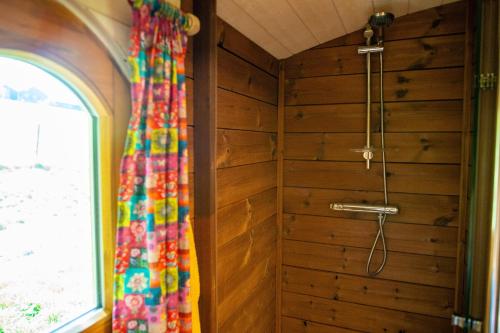 a shower in a room with a wooden wall at La Tiny House de la Bergerie in Lierneux