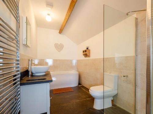 a bathroom with a toilet and a sink at 1 bed in Bala 52510 in Corwen