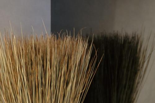 a close up of some tall brown grass at 万雷ホテル in Tokyo