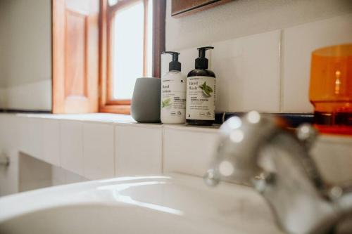 a bathroom sink with two bottles on a counter at Die Stal at Antioch in Franschhoek