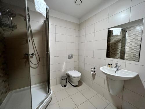 ein Bad mit einem WC, einem Waschbecken und einer Dusche in der Unterkunft Harmony Park Countryside Villas & SPA in Prienai