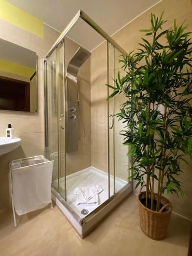 a shower in a bathroom with a potted plant at El Olivar Paraíso Playa in Parque Holandes
