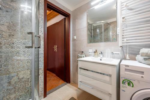 a bathroom with a sink and a shower at Apartmán Mezonet na Námestí Košice in Košice