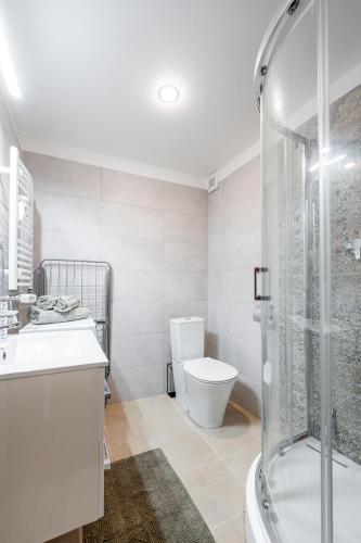 a bathroom with a toilet and a sink and a shower at Apartmán Mezonet na Námestí Košice in Košice