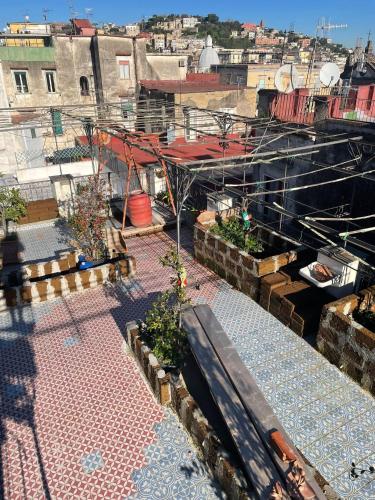 Lemon Tree Terrace