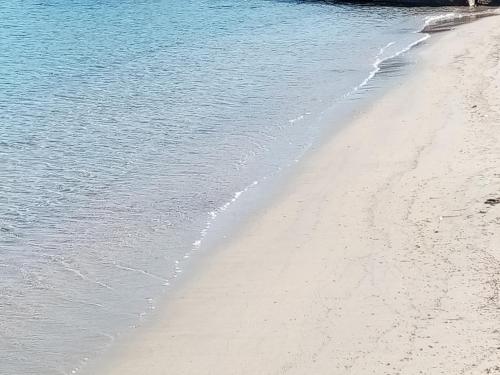 a beach with the ocean and the shoreline at dei lestrigoni in Palau